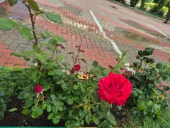 Фото гостя 4 — Квартира однокомнатная на улице Южной, 41 м², Геленджик