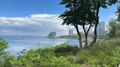 Фото гостя 6 — Студия однокомнатная в Фрунзенском, 14 м², Владивосток