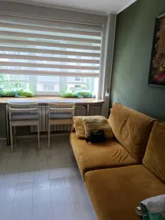 Фото гостя 2 — Студия однокомнатная на улице Новолучанской, 20 м², Великий Новгород