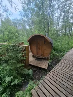 Фото гостя 11 — Коттедж 4-местный в деревни Выре, 30 м², Сиверский