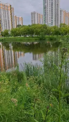 Фото гостя 3 — Квартира однокомнатная у Славы, в Купчино, 42 м², Санкт-Петербург