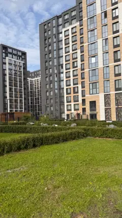 Фото гостя 1 — Студия однокомнатная у Волка, в Купчино, 25 м², Санкт-Петербург