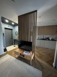 Фото гостя 3 — Квартира однокомнатная на набережной Ольгинской, 42 м², Псков