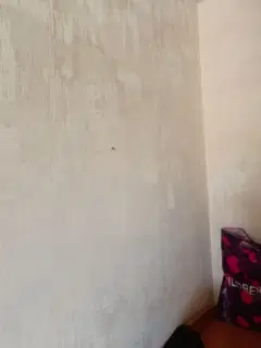 Фото гостя 10 — Студия однокомнатная в Первомайском, 26 м², Новосибирск