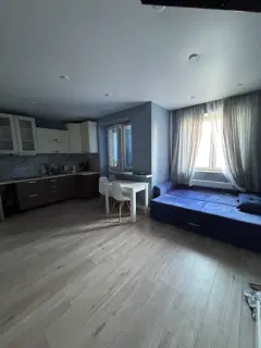 Фото гостя 1 — Студия однокомнатная на улице Некрасова, 25 м², Некрасовский