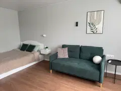 Фото гостя 5 — Квартира однокомнатная на шоссе Приморском, 30 м², Выборг