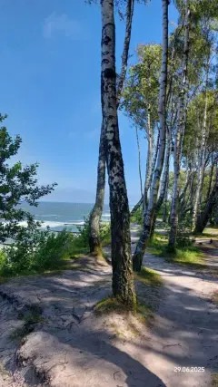 Фото гостя 1 — Квартира однокомнатная на улице Вокзальной, 40 м², Пионерский