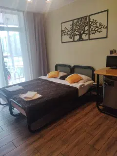Фото гостя 2 — Студия однокомнатная в Пушкинском, 21 м², Шушары