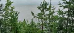 Фото гостя 7 — Коттедж 4-местный на острове имени Белова, 25 м², Псков