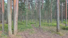 Фото гостя 9 — Квартира однокомнатная на набережной Варкаусе, 43 м², Петрозаводск