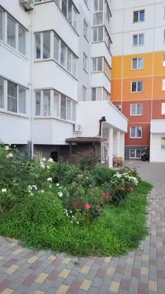 Фото гостя 9 — Квартира трёхкомнатная на улице Ленина, 70 м², Анапа