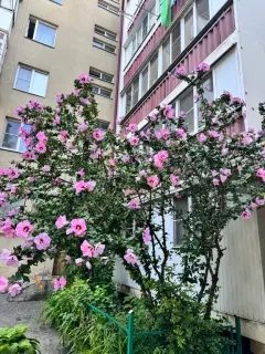 Фото гостя 2 — Квартира однокомнатная на проспекте Победы, 30 м², Кисловодск
