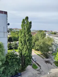 Фото гостя 5 — Апартаменты однокомнатные в Московском, 54 м², Калининград