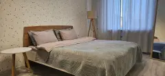 Фото гостя 10 — Квартира двухкомнатная на улице Максима Горького, 53 м², Псков