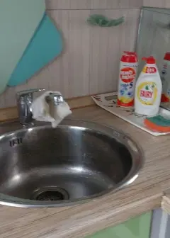 Фото гостя 1 — Апартаменты однокомнатные на улице Радищева, 40 м², Ярославль