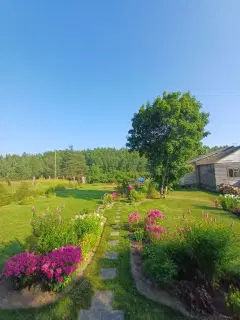 Фото гостя 1 — Коттедж 8-местный в деревни Кузьминской, 150 м², Нижние Виданы