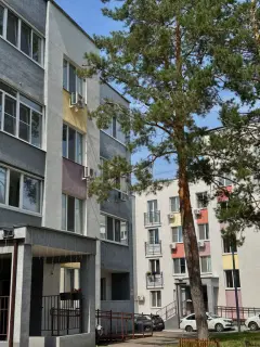 Фото гостя 2 — Студия однокомнатная в Октябрьском, 27 м², Самара