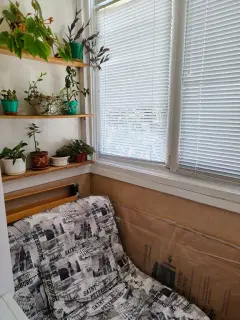 Фото гостя 8 — Квартира трёхкомнатная в переулке Батурина, 60 м², Ливадия