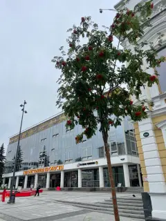Фото гостя 5 — Квартира двухкомнатная у Горьковской, в Кузнечихе, 55 м², Нижний Новгород