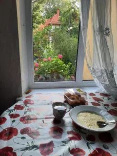 Фото гостя 1 — Квартира однокомнатная на улице Октябрьской, 23 м², Светлогорск