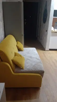 Фото гостя 3 — Студия однокомнатная у Заельцовской, в Заельцовском, 29 м², Новосибирск