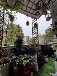 Фото гостя 7 — Квартира двухкомнатная в Центральном, 42 м², Калининград