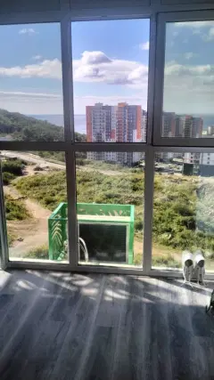 Фото гостя 1 — Квартира двухкомнатная в Первомайском, 46 м², Владивосток