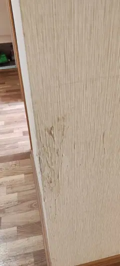 Фото гостя 3 — Квартира однокомнатная в Приокском, 42 м², Нижний Новгород