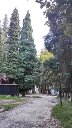 Фото гостя 6 — глэмпинг «Дзен Поляна», Красная Поляна