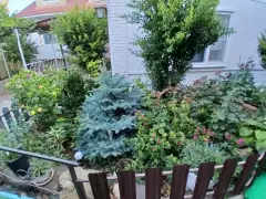 Фото гостя 2 — Дом 5-местный на улице Калинина, 24 м², Тамань