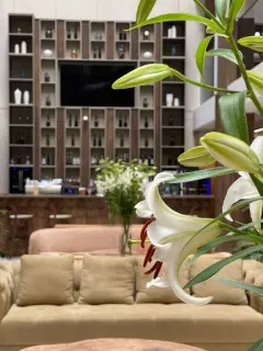 Фото гостя 3 — Апартаменты однокомнатные, 42 м², Эсто-Садок