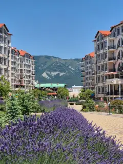 Фото гостя 1 — Квартира однокомнатная на улице Крымской, 49 м², Геленджик