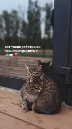 Фото гостя 1 — Коттедж 4-местный в село Кривой Луке, 40 м², Самара