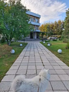 Фото гостя 2 — гостиница «Плес», Волжский