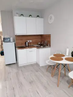 Фото гостя 4 — Студия однокомнатная в Дзержинском, 32 м², Новосибирск