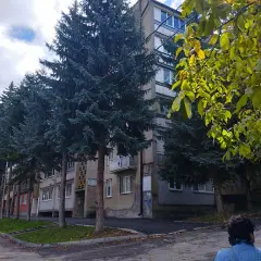 Фото гостя 3 — Квартира однокомнатная на улице Велинградской, 43 м², Кисловодск