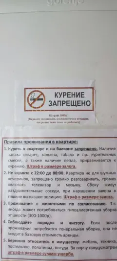 Фото гостя 5 — Квартира однокомнатная в Пушкинском, 40 м², Санкт-Петербург