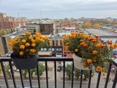 Фото гостя 9 — Квартира однокомнатная на улице Городской Вал, 41 м², Ярославль