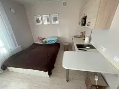 Фото гостя 1 — Студия однокомнатная у Берёзовой рощи, в Октябрьском, 20 м², Новосибирск