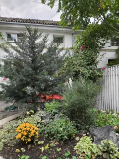 Фото гостя 9 — Апартаменты однокомнатные на улице Революции, 23 м², Евпатория