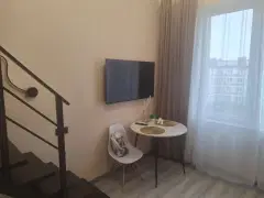 Фото гостя 6 — Студия однокомнатная в Пушкинском, 30 м², Шушары