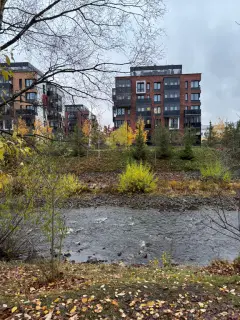 Фото гостя 1 — Апартаменты трёхкомнатные на площади Литейной, 59 м², Петрозаводск