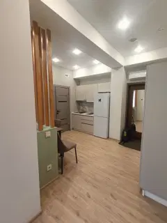 Фото гостя 4 — Апартаменты однокомнатные в Кировском, 30 м², Иркутск
