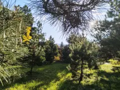 Фото гостя 1 — Квартира двухкомнатная в переулке Свердлова, 45 м², Горячий Ключ