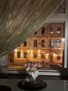 Фото гостя 8 — Квартира однокомнатная у Горьковки, в Петроградке, 64 м², Санкт-Петербург