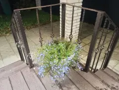 Фото гостя 7 — Дом 9-местный в деревни Взваде, 100 м², Старая Русса