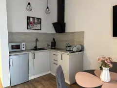 Фото гостя 4 — Студия однокомнатная на проспекте Калининградском, 30 м², Светлогорск
