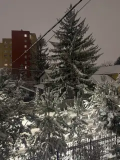 Фото гостя 12 — Дом 8-местный в Ленинградском, 170 м², Калининград