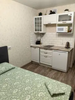 Фото гостя 5 — Студия однокомнатная в Советском, 20 м², Нижний Новгород