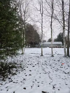 Фото гостя 1 — объект «Рыбак с семьей», Лодейное Поле